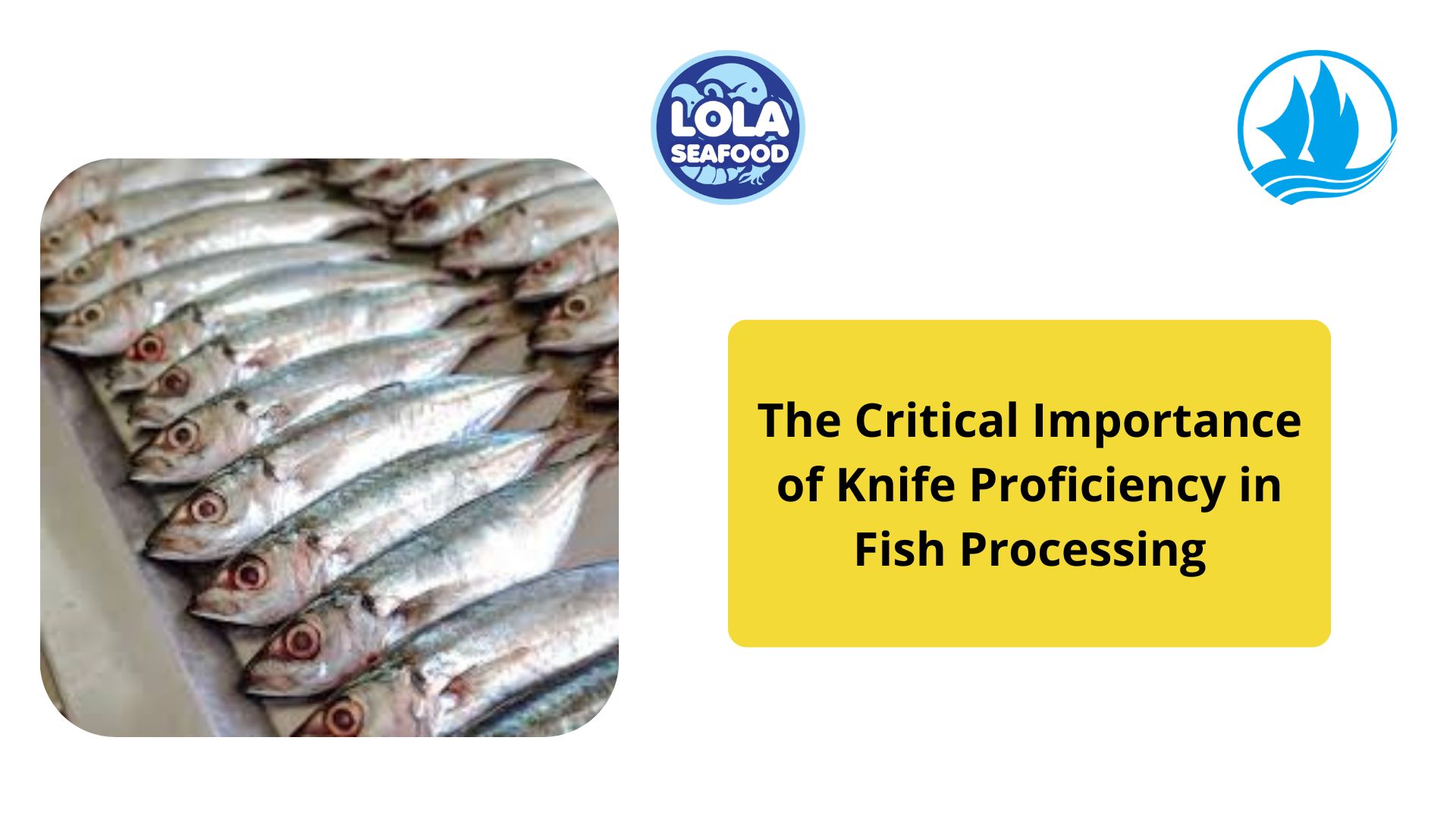The Hidden Gem of the Ocean: Exploring the Benefits of Ikan Benggol